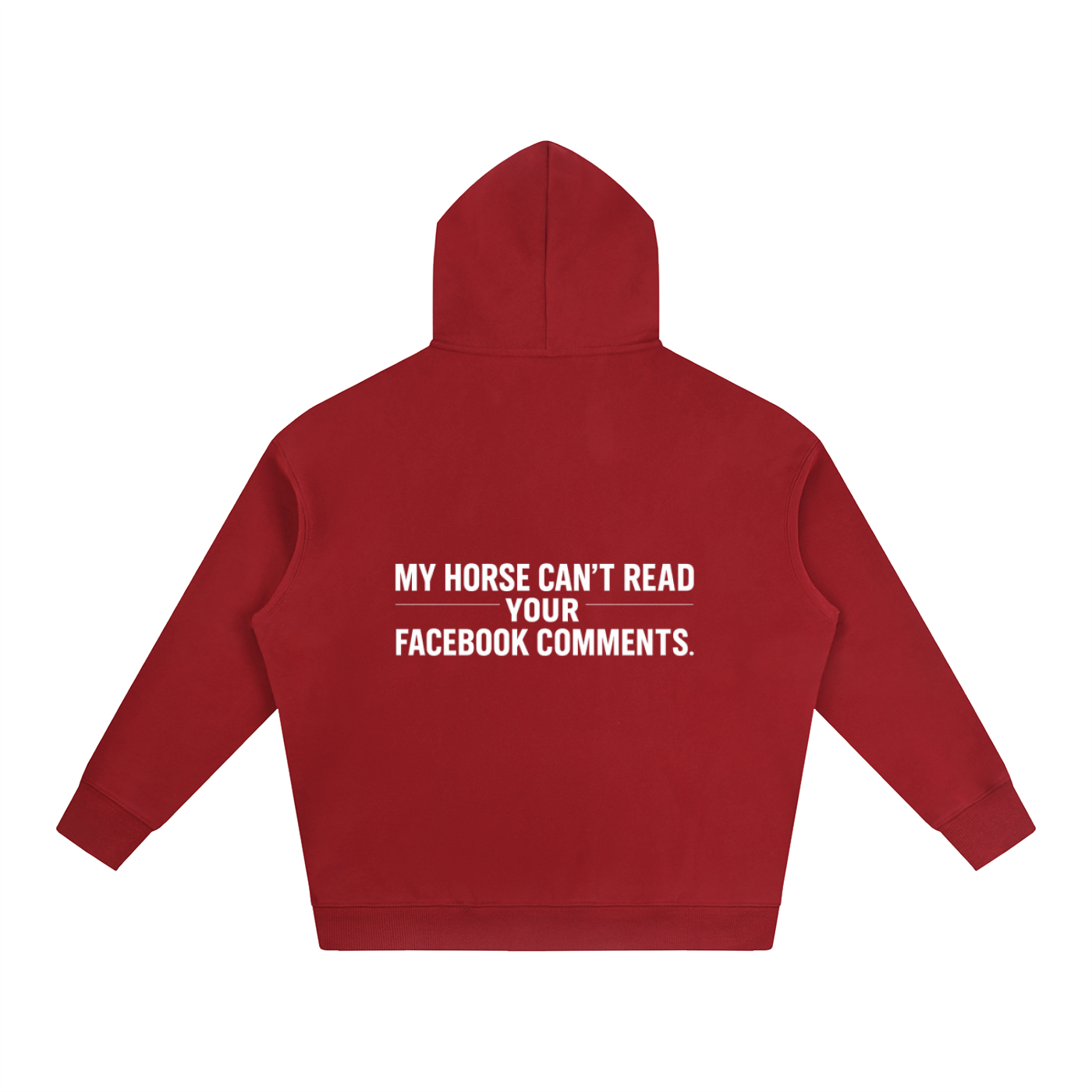 My Horse Can't Read Hoodie
