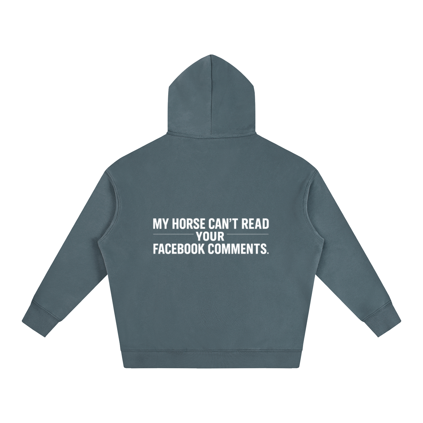 My Horse Can't Read Hoodie