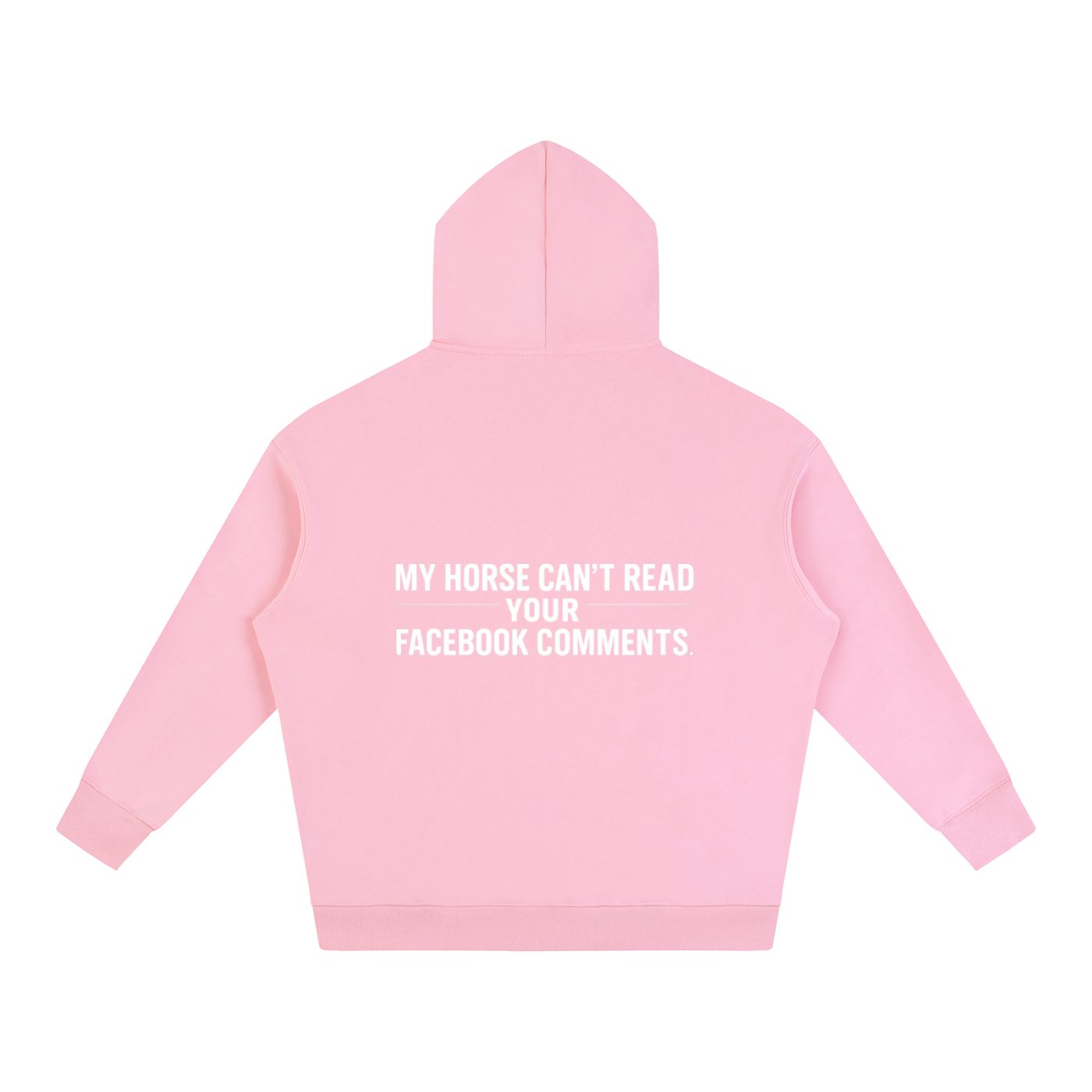 My Horse Can't Read Hoodie
